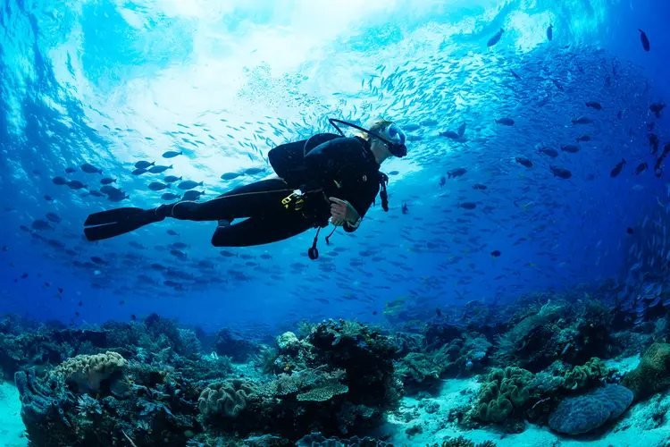 Scuba diving in Indonesia