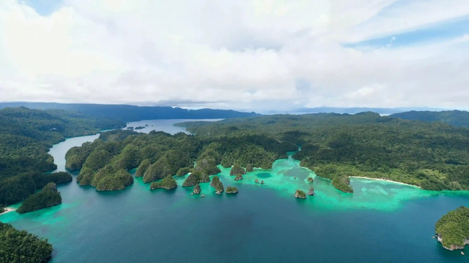 Forested islands and calm water in Triton Bay