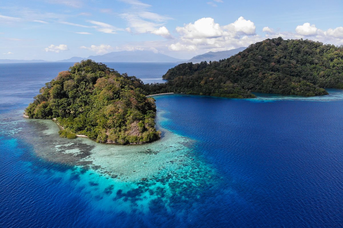 Diver among coral along the Halmahera route