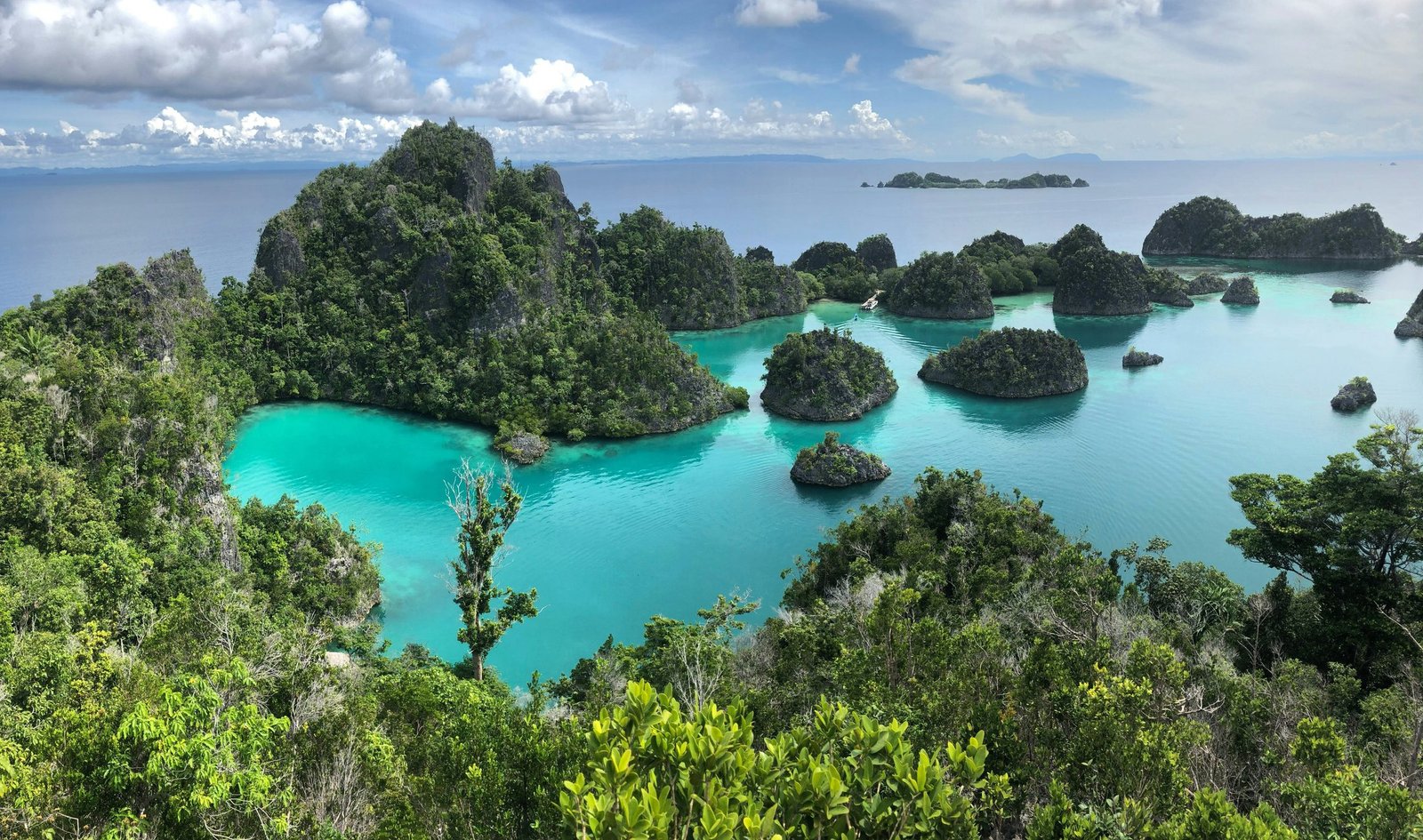 Best Time to Visit Raja Ampat: A Season-by-Season Guide