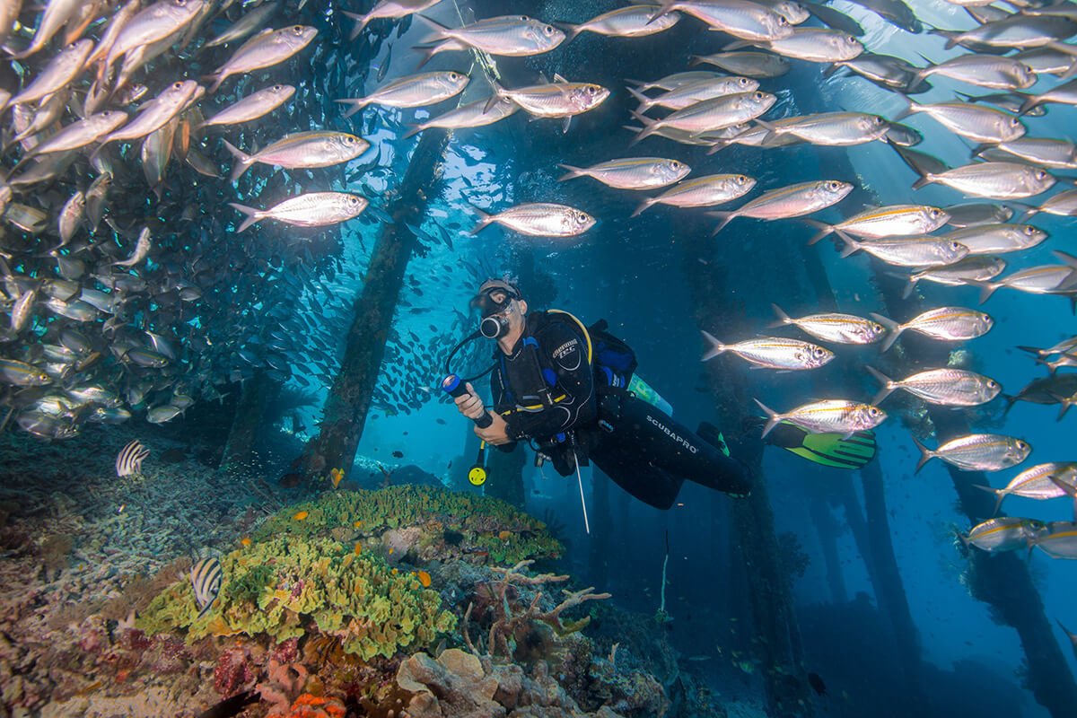 Scuba diver exploring vibrant coral reef during a Raja Ampat diving trip.