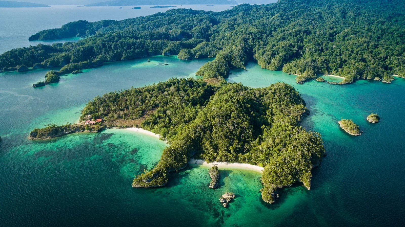 Triton Bay vs Raja Ampat: Which Is Right for You?