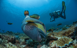 461578740_410999688434638_7128884075521908951_n |