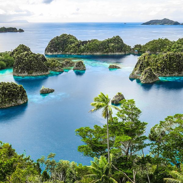 Raja Ampat Liveaboard