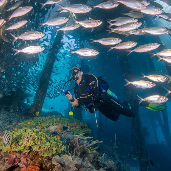 Diving Liveaboard