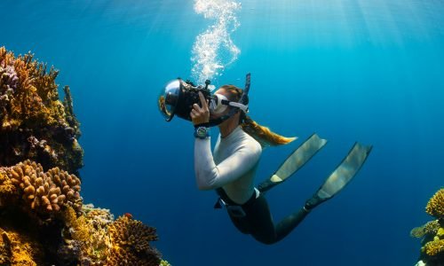 Diving Liveaboard